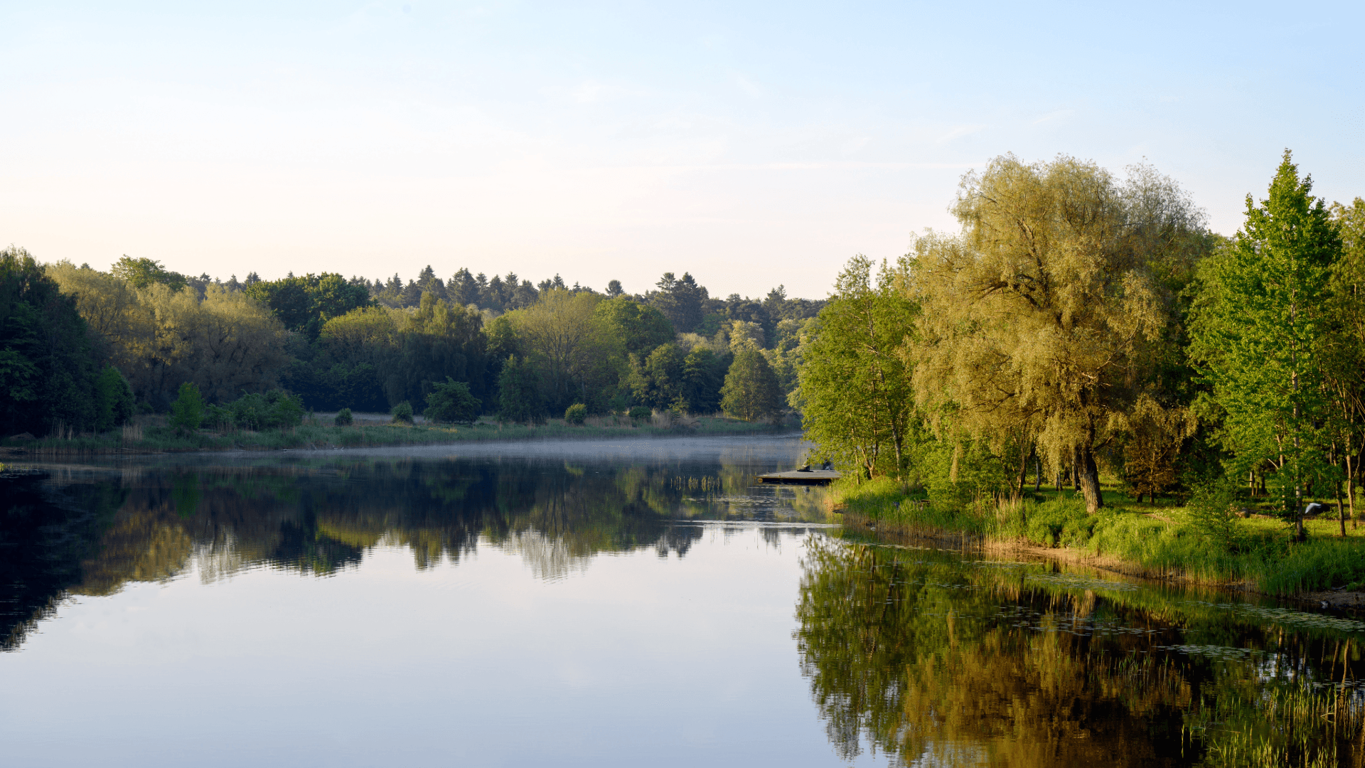 Lövskog som speglar sig i en sjö.